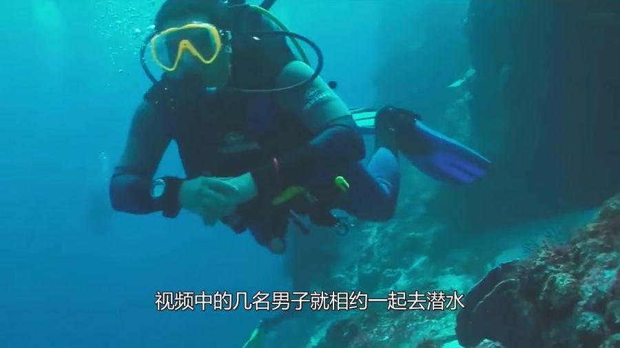 雪公园森林逃生
